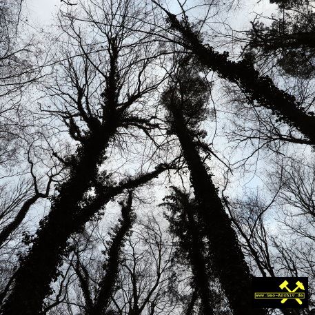 Sandsteinbruch Drossdorf bei Zeitz in Sachsen-Anhalt (D) 8. Dezember 2022 (14).JPG